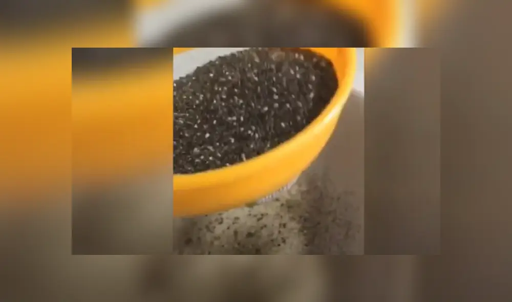 Desliza hacia la izquierda para ver las imágenes del viral de YouTube. Foto: Captura. Desliza hacia la izquierda para ver las imágenes del viral de YouTube. Foto: Captura.