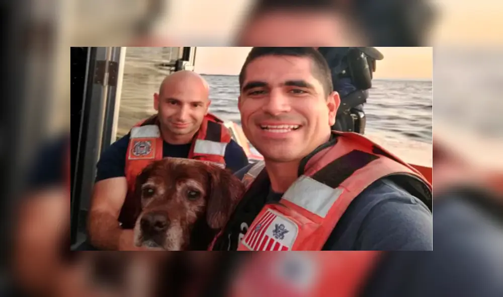 Rescatan a perro que naufragó en medio del océano y lo devuelven a su dueño [VIDEO]