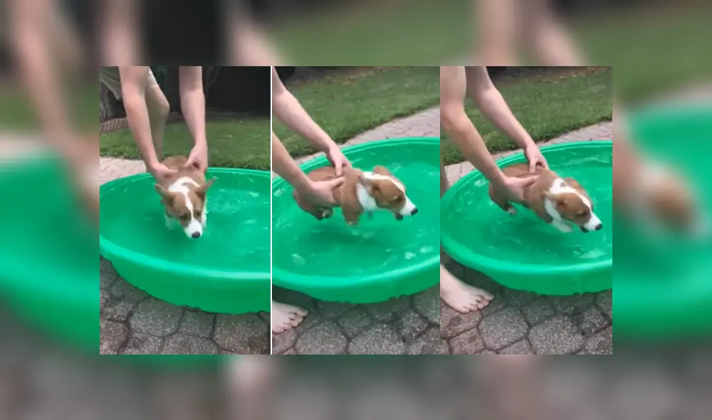 Desliza hacia la izquierda para ver más imágenes de esta tierna escena que se ha robado el corazón de miles en YouTube.