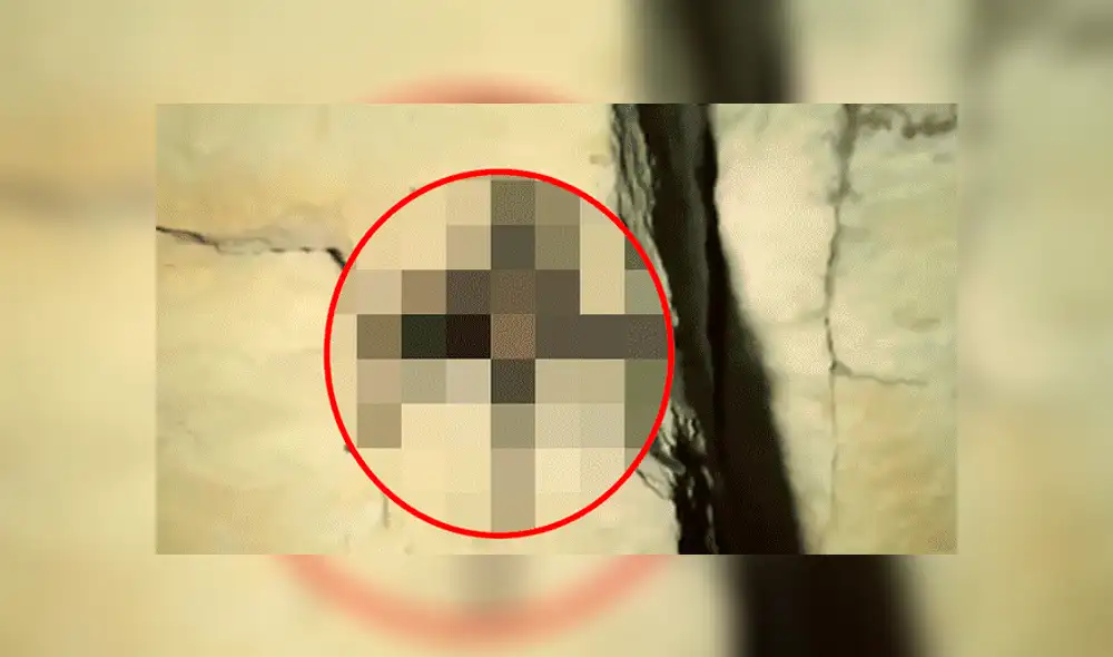 Facebook viral: Chico madruga para ir al baño y se topa con peligrosa criatura que lo quería atacar [VIDEO] 