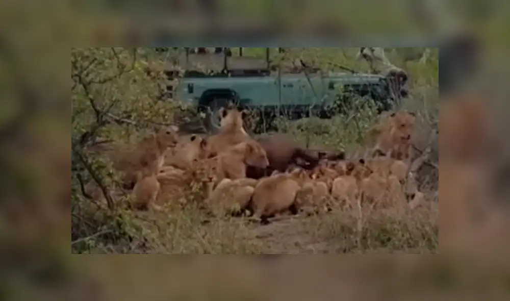 Desliza para ver todas las imágenes de YouTube. Foto: captura