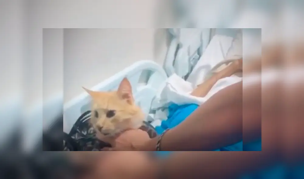 Desliza las imágenes para observar el noble gesto de unos jóvenes para sorprender a su abuelo en el hospital.