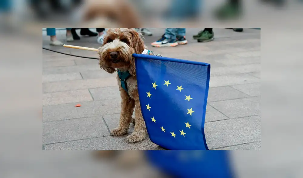 Eurocámara: ¿Cuál es el juego de alianzas de las familias políticas europeas?