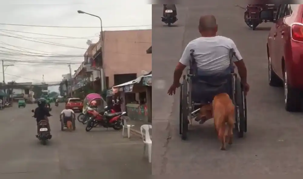 En Facebook: Perro empuja silla de ruedas de su dueño y es viral en internet [VIDEO]