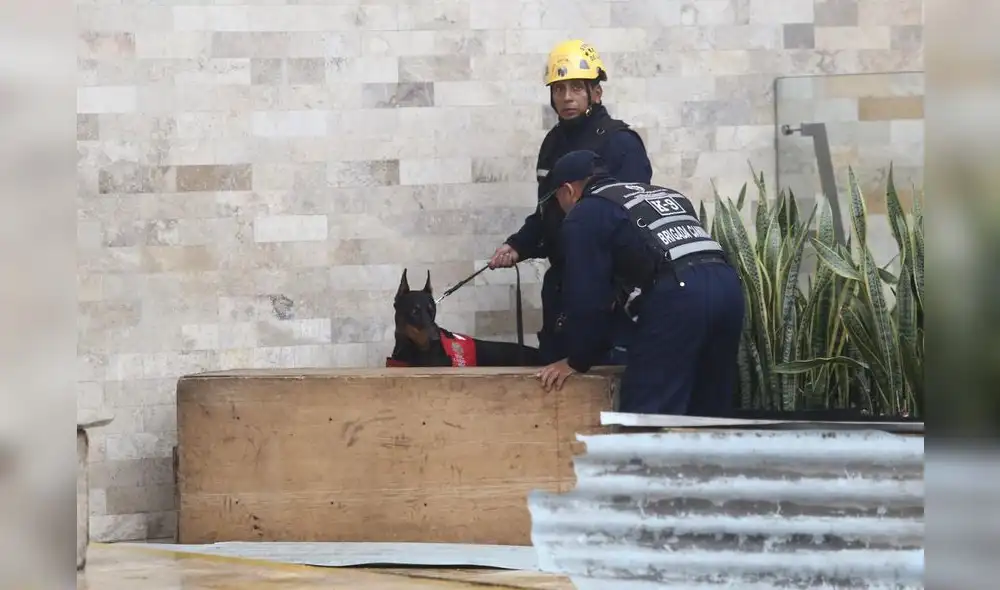 Imágenes del Simulacro Nacional de Sismo y Tsunámi [FOTOS]
