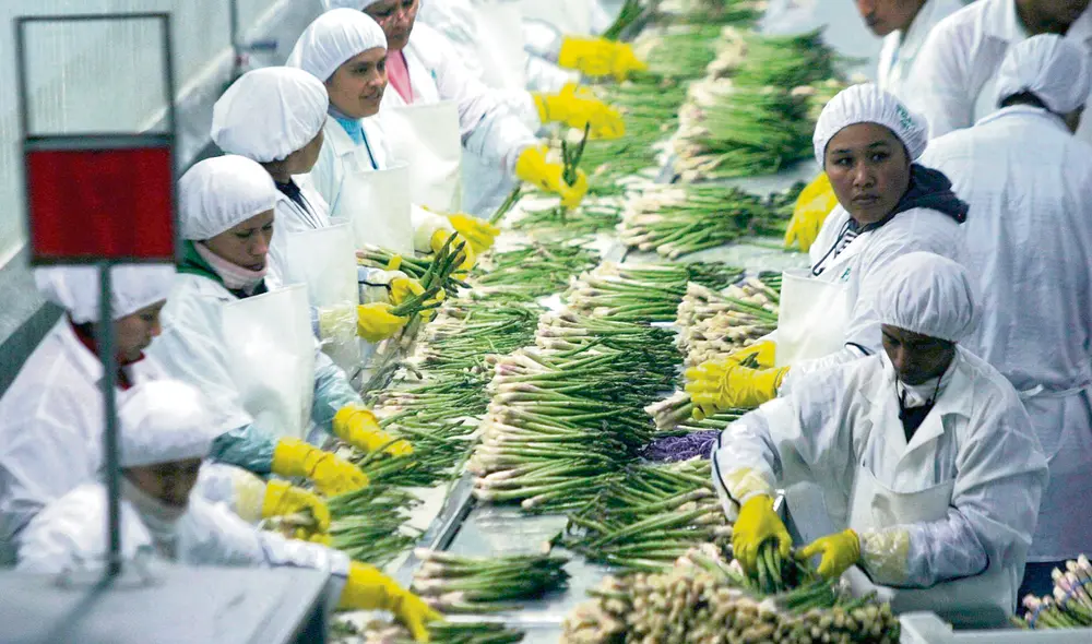trabajadores sector agrario agroindustria