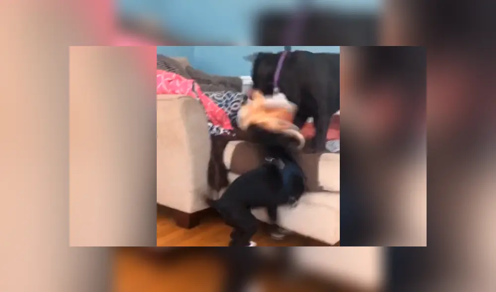 Desliza para ver todas las imágenes de Facebook. Foto: captura