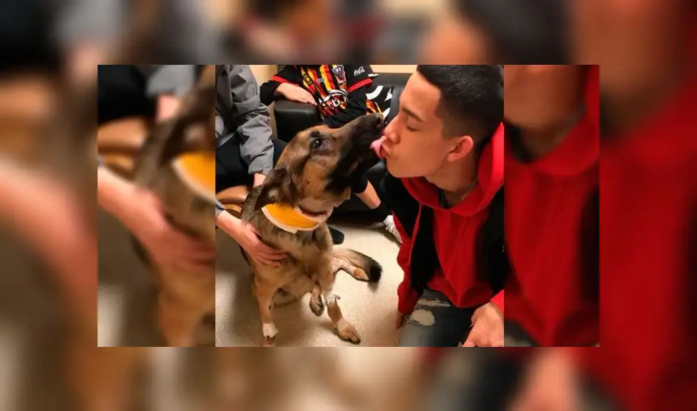 Perro recibe varios balazos por salvar la vida de su dueño durante un asalto [VIDEO]