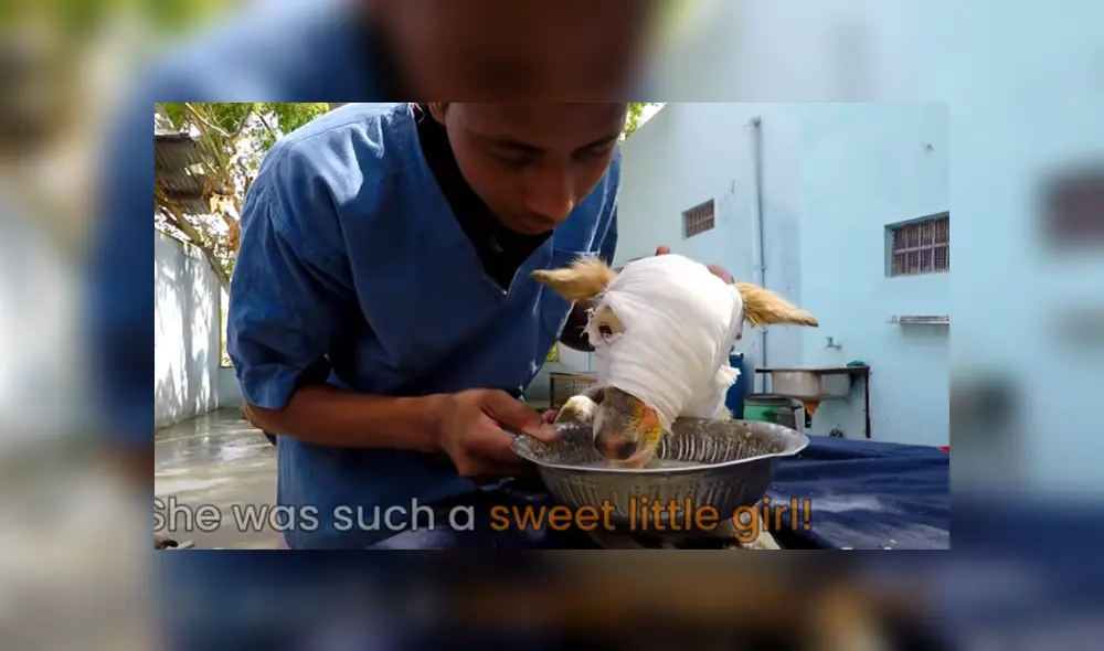 Desliza hacia la izquierda para ver las imágenes del viral de YouTube. Desliza hacia la izquierda para ver las imágenes del viral de YouTube.