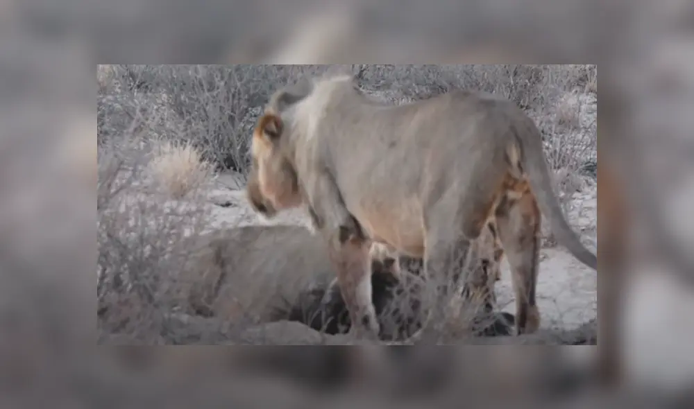 Desliza hacia la izquierda para ver las imágenes del viral de Facebook. Desliza hacia la izquierda para ver las imágenes del viral de Facebook.