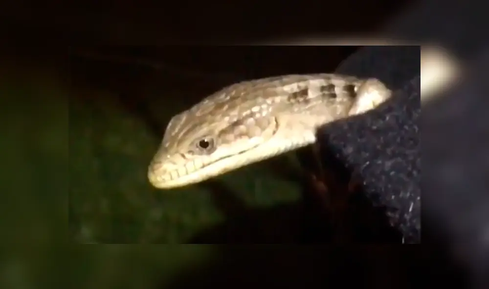 Desliza la imagen de Facebook para verlas todas. Desliza la imagen de Facebook para verlas todas.