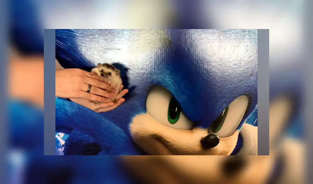 Desliza a la izquierda para ver las divertidas fotos entre Bandit y Sonic. (Foto: Facebook)