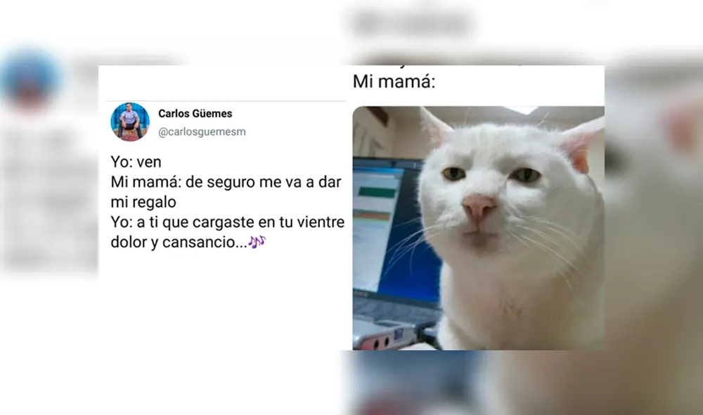 Día de la Madre: Los divertidos MEMES compartidos en Facebook por esta fecha [FOTOS]