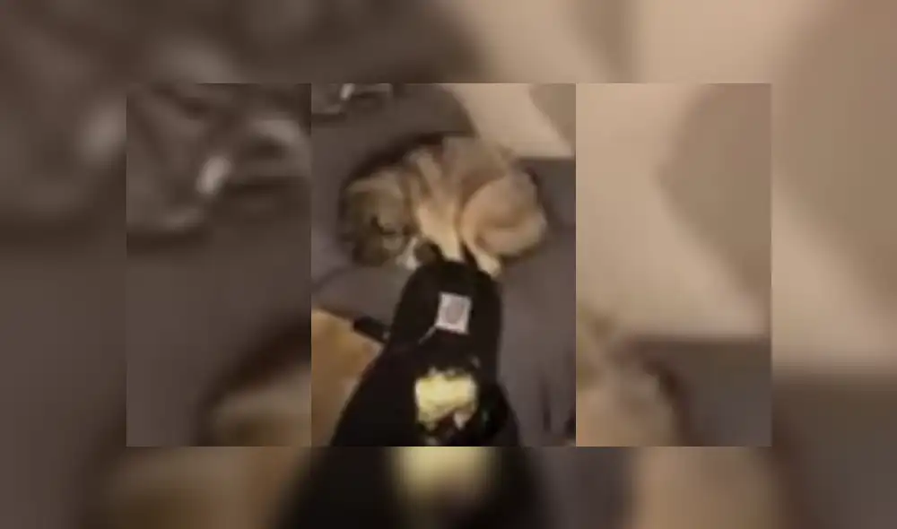 Video es viral en YouTube. Joven grabó el curioso comportamiento de su mascota, cuando fue a reclamarle por la ‘travesura’ que había hecho. Fotocaptura: YouTube Video es viral en YouTube. Joven grabó el curioso comportamiento de su mascota, cuando fue a reclamarle por la ‘travesura’ que había hecho. Fotocaptura: YouTube