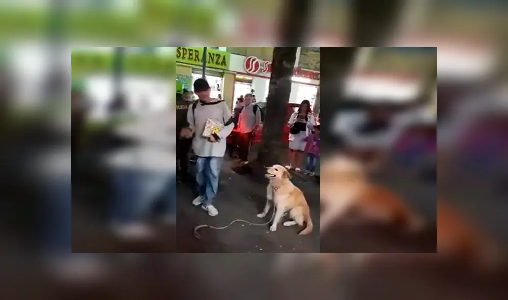 En Facebook, un joven ambulante realizó un espectáculo en la calle junto a su perro que impactó con su acto.