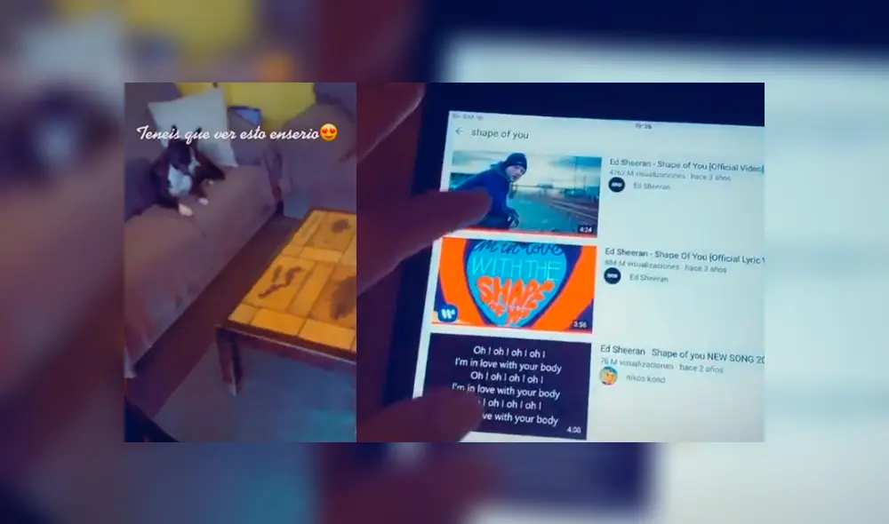 Desliza las imágenes para ver la curiosa reacción que tuvo un perro al escuchar su tema favorito de Ed Sheeran Foto: Rebeca Romero/TikTok Desliza las imágenes para ver la curiosa reacción que tuvo un perro al escuchar su tema favorito de Ed Sheeran Foto: Rebeca Romero/TikTok