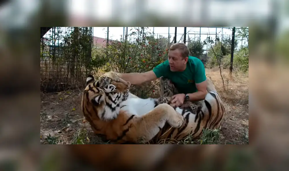 Desliza hacia la izquierda para ver las escenas del video viral de YouTube.