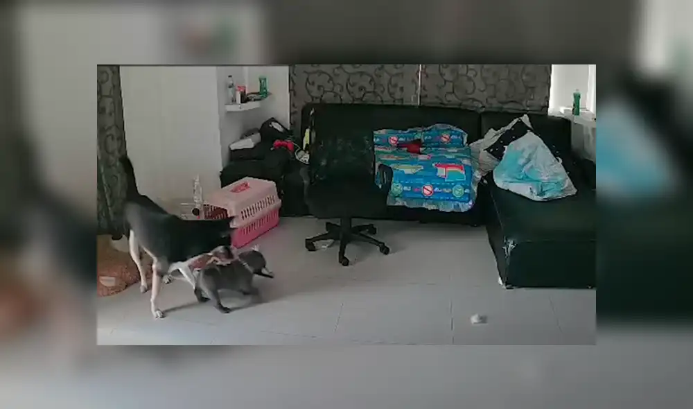 Desliza hacia la izquierda para ver las imágenes del viral de Facebook.