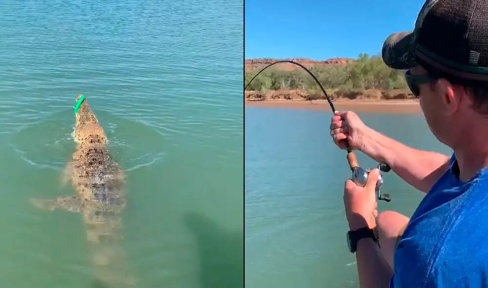 Facebook - animales - viral Facebook - animales - viral