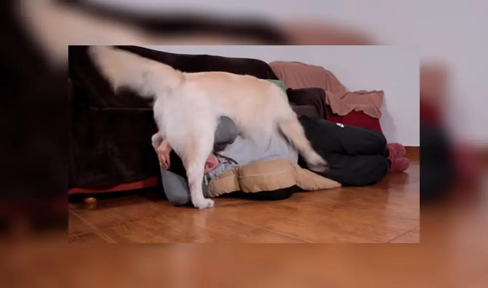 Desliza para ver los momentos más divertidos del video que se hizo viral en YouTube. Desliza para ver los momentos más divertidos del video que se hizo viral en YouTube.