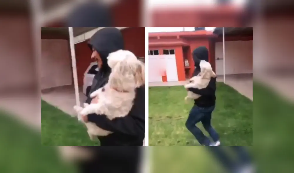 Desliza las imágenes para conocer el comportamiento de un perro tras obedecer las indicaciones de su dueña. Fotocaptura: Facebook. Desliza las imágenes para conocer el comportamiento de un perro tras obedecer las indicaciones de su dueña. Fotocaptura: Facebook.