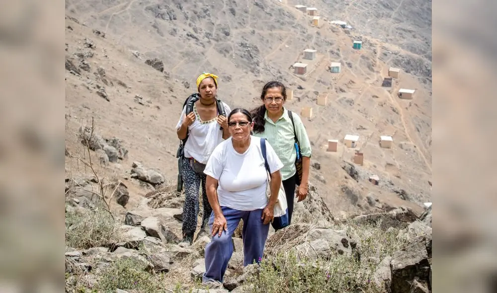 12-02-2020 JOHN REYES
SANTUARIO DE LAS VIZCACHAS
LOMAS PARAISO
VMT
VILLA MARIA DEL TRIUNFO
FELICITA CABRERA Y GLADIS BUITRON 12-02-2020 JOHN REYES
SANTUARIO DE LAS VIZCACHAS
LOMAS PARAISO
VMT
VILLA MARIA DEL TRIUNFO
FELICITA CABRERA Y GLADIS BUITRON