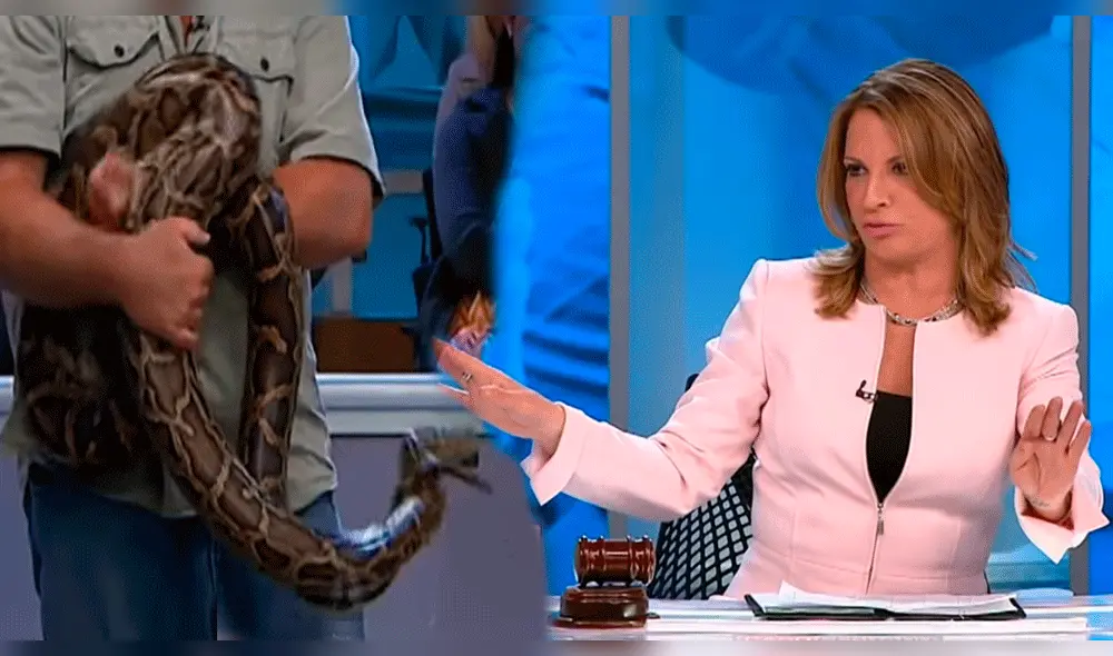 Doctora Polo consternada en 'Caso Cerrado' con 'aterrador' trío amoroso