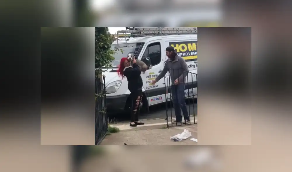 El perro se emocionó al ver a su dueños entrar a su casa e instantáneamente se abalanzó sobre ellos. Foto: YouTube.