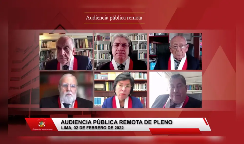 Audiencia del Tribunal Constitucional. Foto: captura