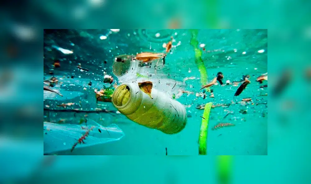 Más de 600 buzos rompen Récord Guiness al limpiar una playa 