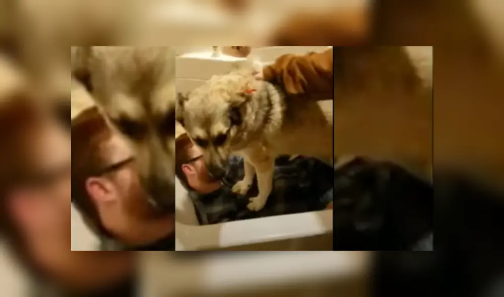 Desliza hacia la izquierda para ver más del video viral Desliza hacia la izquierda para ver más del video viral