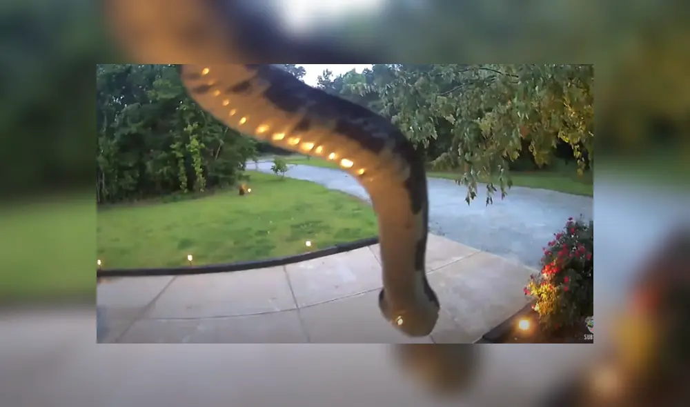 Desliza hacia la izquierda para ver las imágenes del viral de Facebook. Desliza hacia la izquierda para ver las imágenes del viral de Facebook.