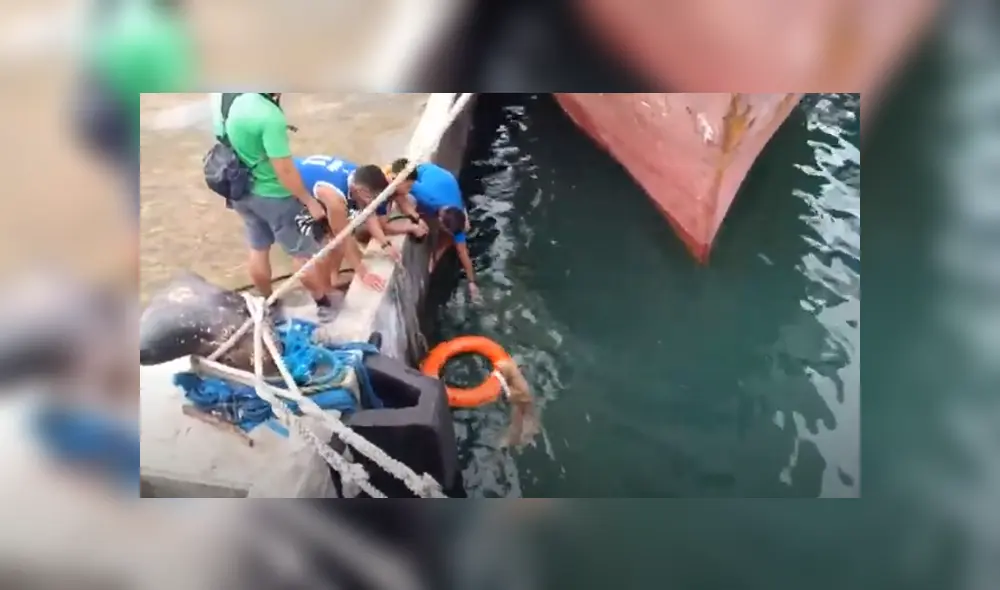 Desliza hacia la izquierda para ver las imágenes del viral de YouTube. Foto: Captura. Desliza hacia la izquierda para ver las imágenes del viral de YouTube. Foto: Captura.