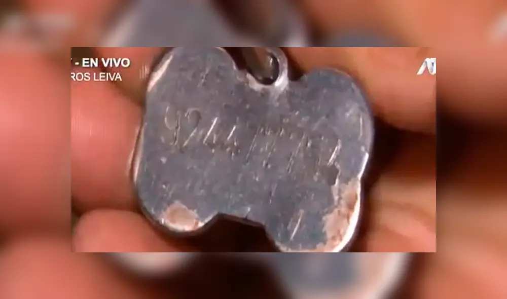 Mujer denuncia que su perro fue asesinado de un balazo [VIDEO]