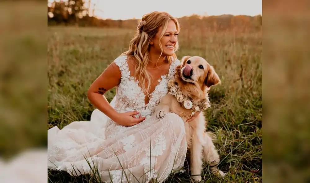Gabby se robó el protagonismo de la boda de sus dueños. Foto: gabsthegolden / Facebook Gabby se robó el protagonismo de la boda de sus dueños. Foto: gabsthegolden / Facebook