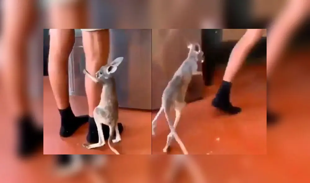 Desliza a la izquierda para ver este enternecedor acto. Foto: Captura. Desliza a la izquierda para ver este enternecedor acto. Foto: Captura.