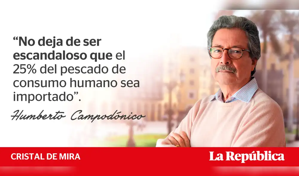 No se quiere ver el fondo del asunto