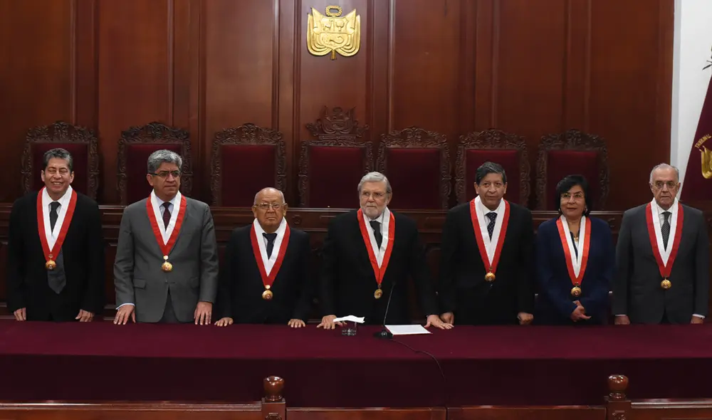 Tribunal Constitucional