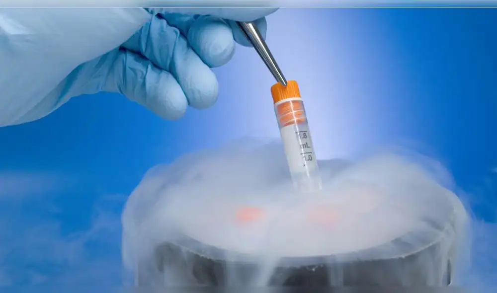 Reino Unido: Murió su hijo y tomaron su esperma para tener un nieto