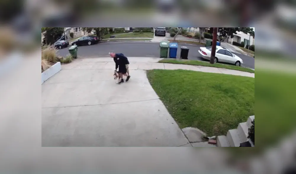 Desliza hacia la izquierda para ver las imágenes del viral de YouTube. Foto: ViralHog.