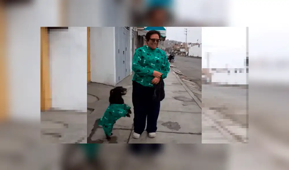Cansada que su mascota sufra en invierno, mujer idea una solución y se lleva el aplauso de todos [VIDEO]