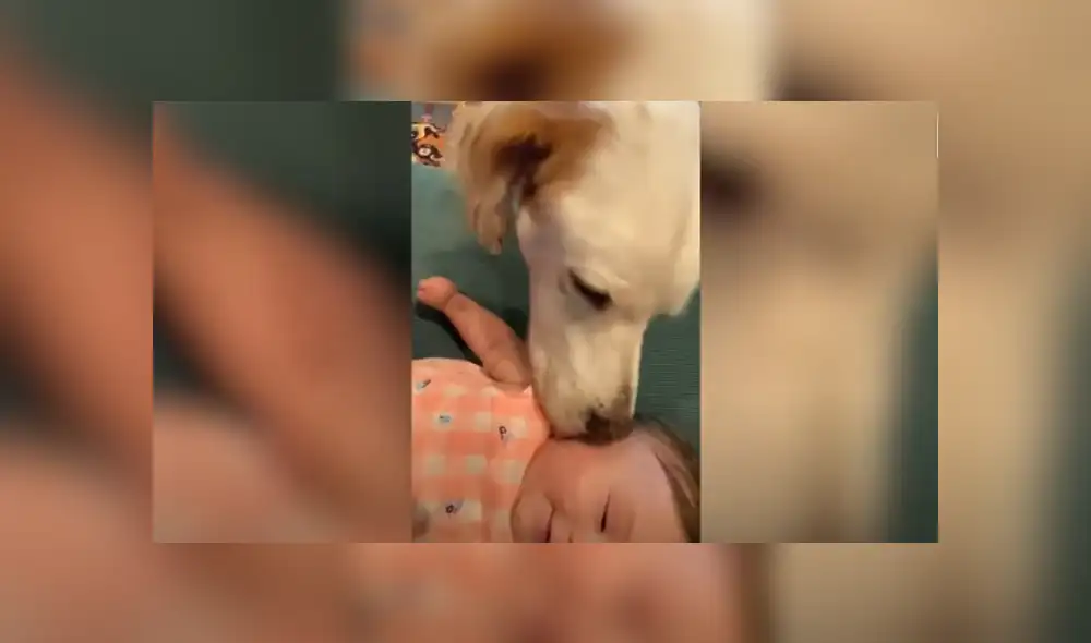 Desliza hacia la izquierda para ver las imágenes del viral de YouTube. Foto: Captura. Desliza hacia la izquierda para ver las imágenes del viral de YouTube. Foto: Captura.