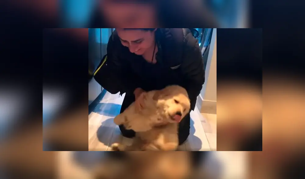 Desliza las imágenes hacia la izquierda para apreciar la emotiva escena de un perro junto a su dueña. Foto: Captura. Desliza las imágenes hacia la izquierda para apreciar la emotiva escena de un perro junto a su dueña. Foto: Captura.