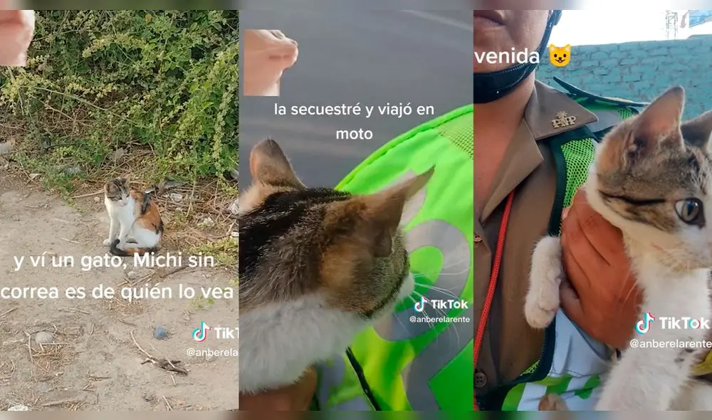 Policía de tránsito rescata a gatito abandonado. Foto: captura de TikTok Policía de tránsito rescata a gatito abandonado. Foto: captura de TikTok