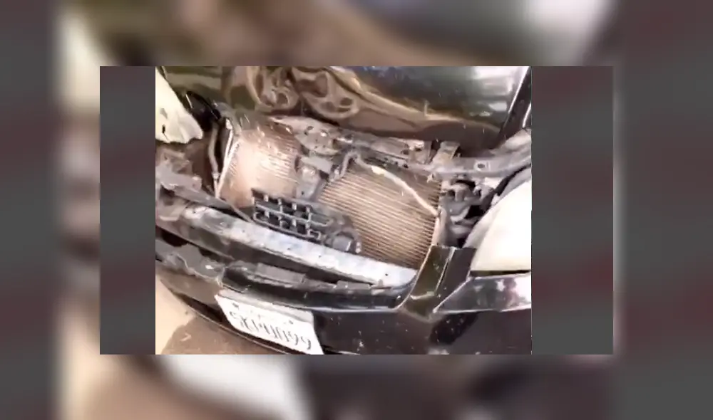 Desliza la imagen compartida para verlas todas. Foto: @joceloon/TikTok Desliza la imagen compartida para verlas todas. Foto: @joceloon/TikTok