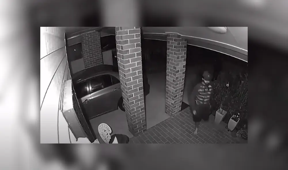 Desliza las imágenes para observar la acción de un perro tras percatarse que unos malhechores intentaron invadir su casa. Desliza las imágenes para observar la acción de un perro tras percatarse que unos malhechores intentaron invadir su casa.