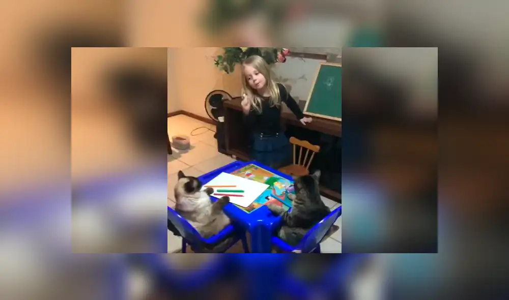 Desliza las imágenes hacia la izquierda para conocer el emotivo momento de una pequeña junto a sus mascotas. Desliza las imágenes hacia la izquierda para conocer el emotivo momento de una pequeña junto a sus mascotas.