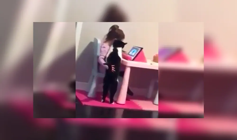 En YouTube, un señor instaló una cámara de seguridad para vigilar a su menor hija y se llevó emotiva sorpresa. En YouTube, un señor instaló una cámara de seguridad para vigilar a su menor hija y se llevó emotiva sorpresa.