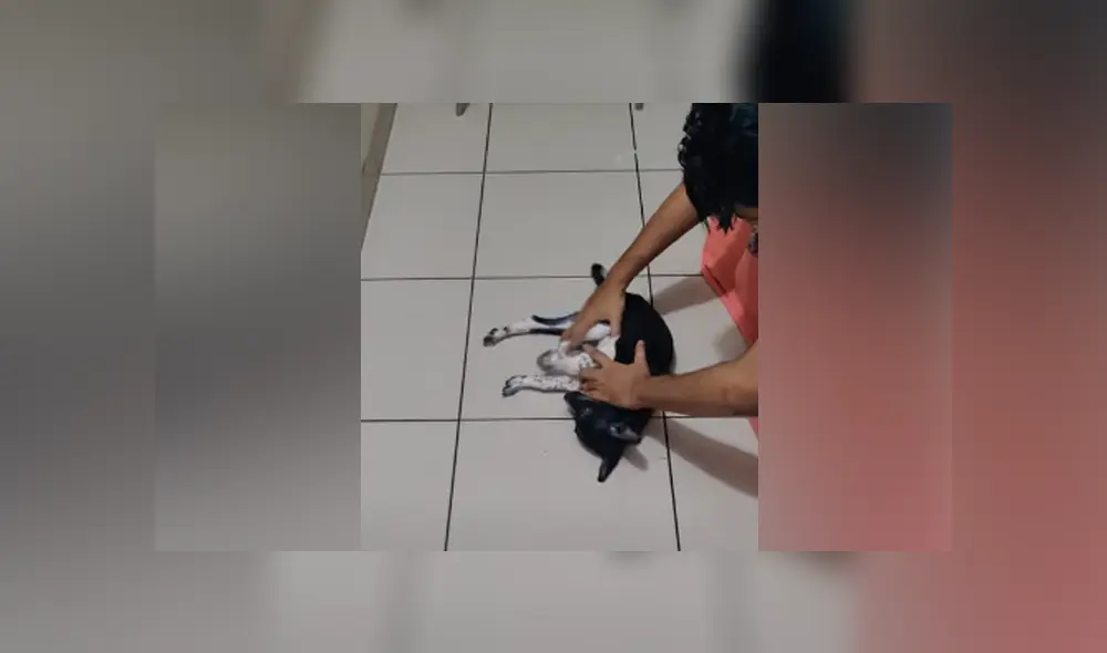 Desliza hacia la izquierda para ver las imágenes del viral de YouTube.