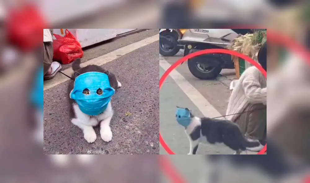 Desliza a la izquierda para ver el viral de Facebook. Desliza a la izquierda para ver el viral de Facebook.